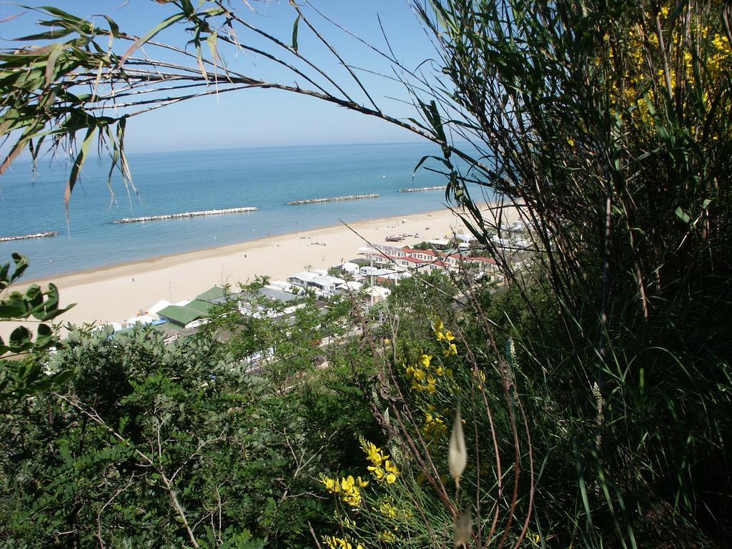 Camping Norina 페자로 외부 사진